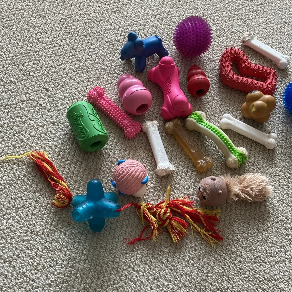 Dog Toy Bundle 18 Count Squeaker Chew Play For Medium Dogs 25 Pounds+ EUC
